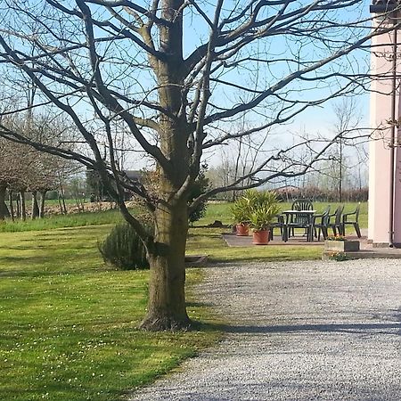 Casarosa B&B Piazzola sul Brenta Dış mekan fotoğraf